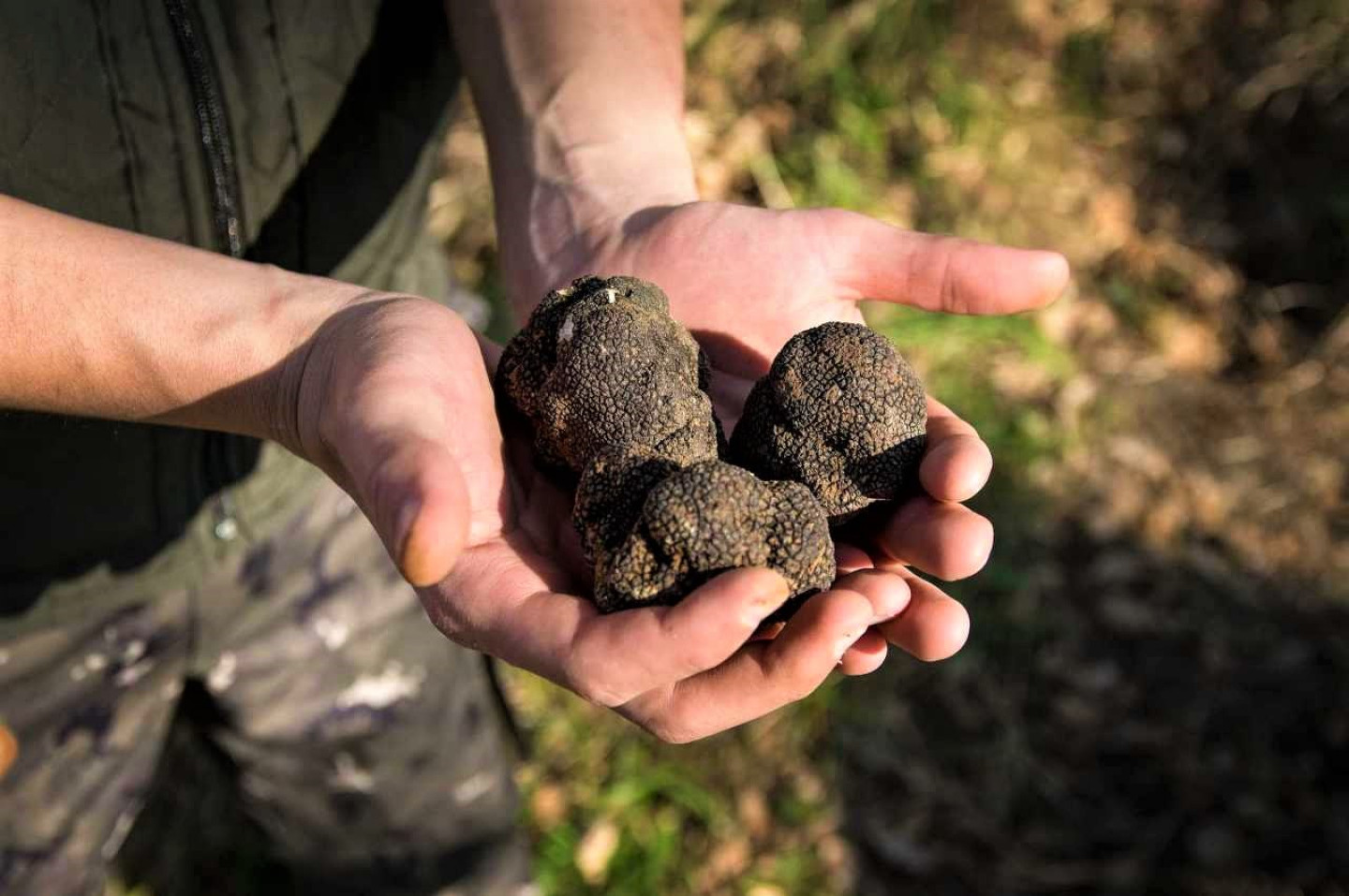 Cycling and Truffle Hunting 3